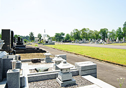 東山墓地公園の自然