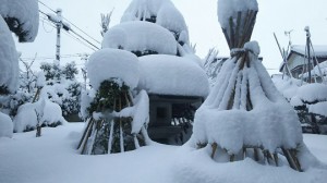 唯敬寺積雪①